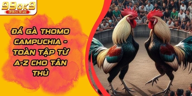 Đá Gà Thomo Campuchia - Toàn Tập Từ A-Z Cho Tân Thủ