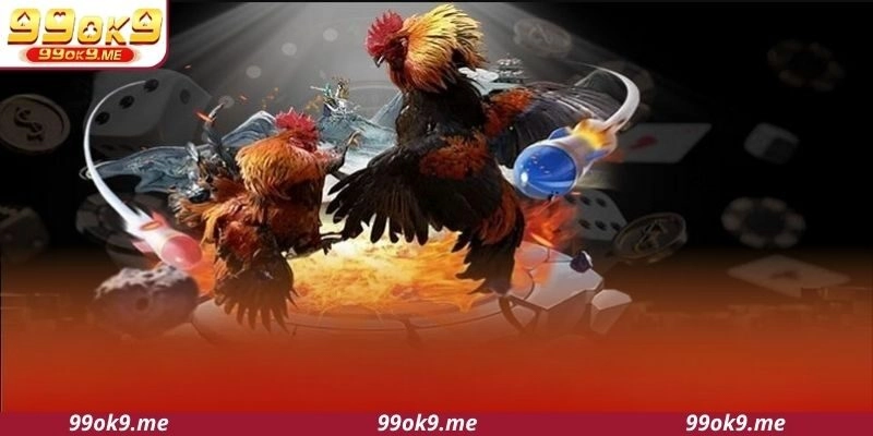 Tổng quan về sân chơi đá gà 99OK